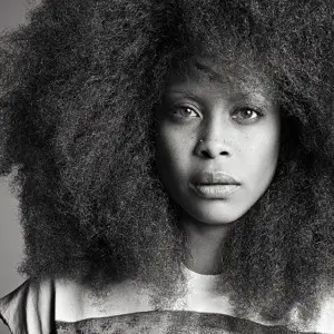 Erykah Badu Headlining Concert to Raise Funds