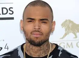 Chris Brown goes full Chris Brown, has 14 hour standoff with police